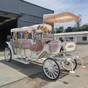 3 Row Luxurious Electric Sightseeing Horse Carriage Cart Royal Wedding White Horse Carriage for Sale - Product Image 3