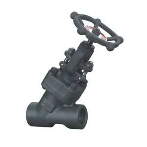 A105N F304 F316L Plug Disc Customized Forged Steel Socket Welded Y type Globe Valve