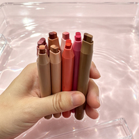 Crayon à lèvres imperméable longue durée avec logo personnalisé, vegan, lisse, haute pigmentation, rose brun, 2 en 1, rouge à lèvres et crayon à lèvres