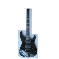 Weifang Rebon 6 String Floyd Rose Tremolo EMG Pcikup Electric Guitar