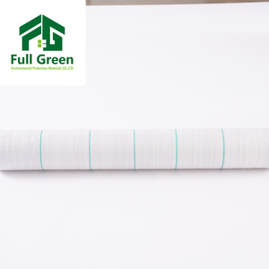 Géotextile tissé 100 g/m², anti-herbe, couverture de sol agricole, tapis anti-mauvaises herbes, plastique PP/PE pour bâche, largeur 2 m, Shandong - Product Image 5
