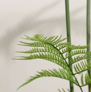Simulación de planta <span class=keywords><strong>verde</strong></span>, helecho <span class=keywords><strong>mono</strong></span> dorado, sala de estar interior, dormitorio, planta <span class=keywords><strong>verde</strong></span> biónica, helecho de seda dorada, decoración de jardín - Product Image 2