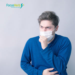 FocusHerb NOP & EU Organic Food Grade Herbal Extract 10:1Cordyceps <b>Militaris</b> Powder 80 Mesh - Product Image 3