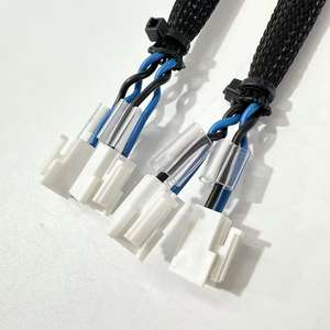 تسخير الأسلاك كابل DC مخصص لتنقية المياه عالية ومنخفضة المكونات - Product Image 2