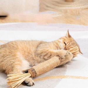 Polygonal Teething Cleaning <b>Stick</b> Cat Cat Teeth Grinding <b>Stick</b> Chewing Cat Toys Refreshing Breath Self pleasure Pet Toys - Product Image 2