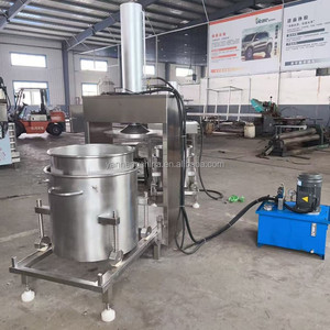 Presse hydraulique automatique robuste à froid pour jus d'ananas, miel, noix de coco, grenade et autres fruits – En promotion - Product Image 5