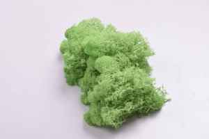 HFlora Factory Direct Online Shopping Diwali Decoration Red Irish Preserved <strong>Moss</strong> Pure Natural Softness Enternal <strong>Moss</strong> - Product Image 6