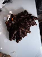 Наборы кудрявых волос Bouncy Curly Hair от одного донора с HD кружевными фронтальными закрытиями 2x6, 4x4, 5x5, 6x6, 7x7, 9x6, 13x4, 13x6, натуральные бирманские кудрявые волосы