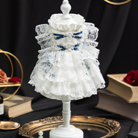 Nouvelle Conception OEM Jupe de Princesse pour Animaux de Compagnie en Polyester Brodé Confortable et Élégant Robe de Mariage Toutes Saisons Vêtements pour Animaux