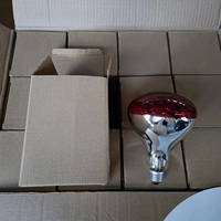 Lampes chauffantes de couleur rouge rôti 150w 175w 250w E27 pour la restauration, le buffet, le réchauffement des aliments