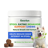 Vente en gros usine : Friandises probiotiques pour chiens, soutien de la santé intestinale et des enzymes digestives, suppléments de prébiotiques et de fibres pour animaux de compagnie (OEM)