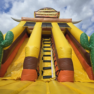 Château gonflable commercial Jungle World avec toboggan, maison de rebond gonflable, toboggan sec à thème <span class=keywords><strong>cactus</strong></span> - Product Image 3