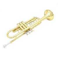 Factory Wholesale Beginner Bb Trumpet - Gold Lacquer Brass Instrument with Hard Case & Mouthpiece Student Model