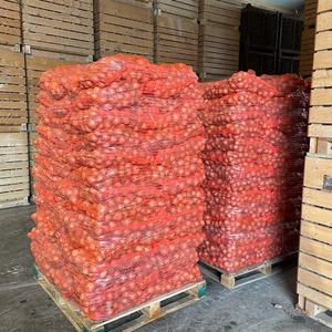 <span class=keywords><strong>Cebolla</strong></span> Amarilla Fresca, Nueva Cosecha 2026, Tamaños 8-11cm, Bolsas de 10kg, Origen Shandong, Calidad Premium, Certificación ISO, Exportación a Granel a Bajo Precio - Product Image 5