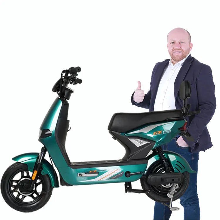 Y2-LX CKD Indonesien 48v350w bürstenloser Motor e-Bike Elektrofahrrad 2 Räder 6 Rohr ultraklauter Controller e-Bike mit OEM/ODM