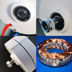 <span class=keywords><strong>Alternador</strong></span> de Imán Permanente Trifásico Sin Engranajes de 100w 12v 24v para Turbina Eólica y Generador de Agua - Product Image 5