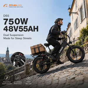 Bicicleta Eléctrica de Reparto D55 E-MTB con Llantas Gruesas de 20 Pulgadas, 750W, 48V55Ah, Alcance de 240 km, Bicicleta de Carga OEM Personalizada para Repartidores - Product Image 1