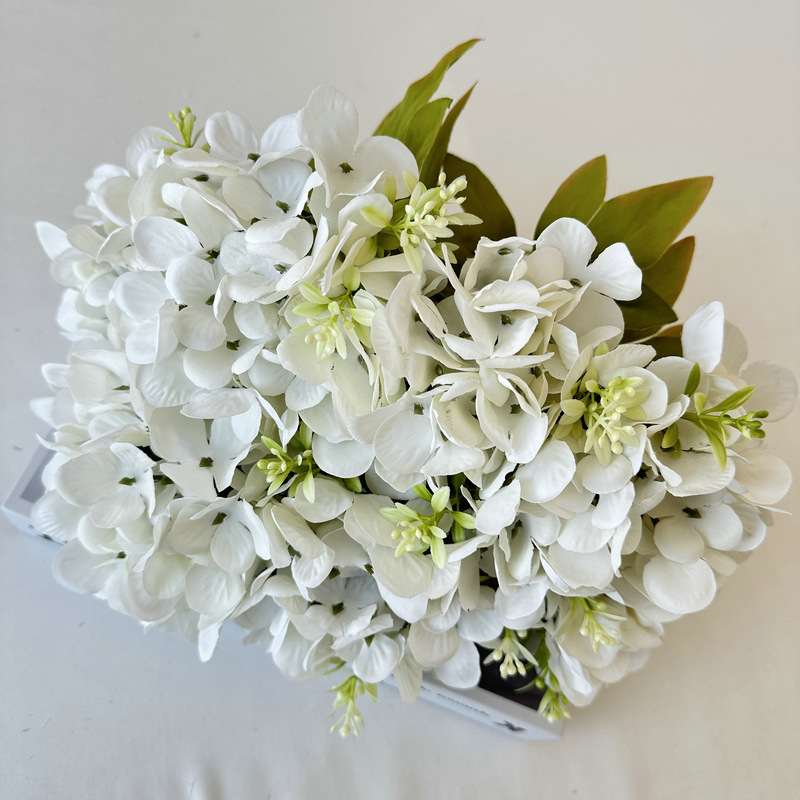 White6