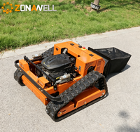 Tondeuse à gazon de jardin de 600 mm, très populaire au niveau mondial, avec télécommande et type chenillé compact, équipée d'un bac de ramassage d'herbe