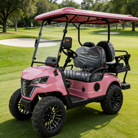 Voiturette de golf électrique 6 places avec pneus tout-terrain, prix abordable, pare-chocs personnalisable pour le camping sauvage, les traversées et les scénarios de travail en dune