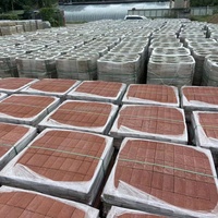 Poudre durcissante intégrale colorée pour sols en béton perméable, allées, patios – Pigment d'oxyde de fer conforme RoHS