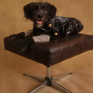 เสื้อโค้ทสำหรับสัตว์เลี้ยงน้ำหนักเบาและอบอุ่นเสื้อกั๊กสำหรับฤดูใบไม้ร่วงของสุนัขผ้าแฟชั่นสำหรับสัตว์เลี้ยงอากาศเย็น - Product Image 4