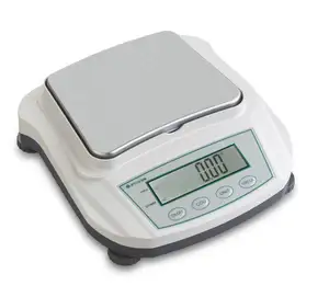 electronic scale