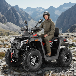 Quad 4x2 à transmission par chaîne Tao Motor 2026, homologué pour la route européenne, EEC T3B, automatique, pour usage agricole, adulte, ATV 250cc - Product Image 1