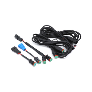 Custom Deutsch 2 Pin Light Connector Automotive Wire Cable Harness Fabricante - Product Image 1