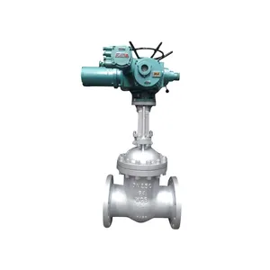 Goedkope Prijs 400LB-900LB 10 Inch Elektrische Hp Koolstofstaal Wcb Flens Gate Valve