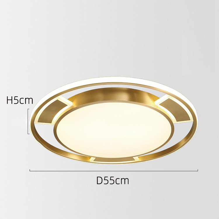 popular ceiling lighting-1