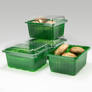 Neuankömmling Great RPET Plastic Box Einweg verpackungs box für Supermärkte Obst Gemüse Lebensmittel behälter - Product Image 6