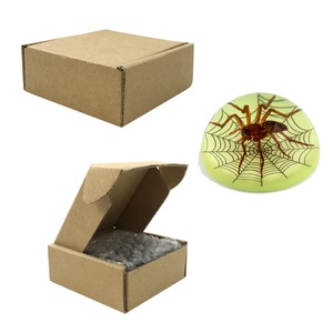 Tự Nhiên Bất Spider Côn Trùng Động Vật Nhựa Bàn Trang Trí Nội Thất Bán Cầu Dome Hình Dạng Sáng Tùy Chỉnh Đồ Trang Trí Thủ Công - Product Image 6