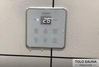 Générateur de vapeur électrique en acier inoxydable, boîte de sauna portable, équipement de bain, chauffage, 220 v