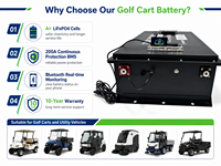 Batterie au lithium 72V 60V 48V 100Ah 200Ah pour voiturette de golf, batterie Life Po4 pour voiturette de golf, batterie de secours domestique avec BT, écran LCD et chargeur
