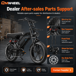 QMWHEEL V20 Limited 48V Bicicleta Eléctrica Urbana con Batería de Litio, Lista para Venta B2B a Nivel Mundial - Product Image 1
