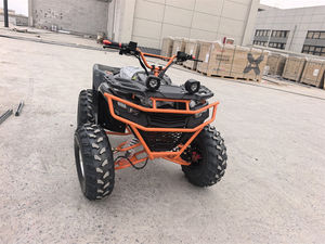 Factory Price Battery Powered Chain Drive <strong>1000W</strong> Brushed Motor Mini <strong>Electric</strong> <strong>Quad</strong> <strong>Bike</strong> Atv for Kids - Product Image 4