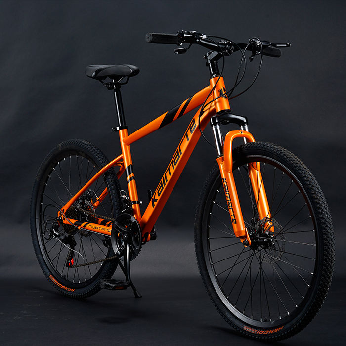 Shop Our MTB Inch 21speed Mountain Bike Full Suspension