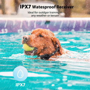 Collar <span class=keywords><strong>de</strong></span> Adiestramiento para Perros a Prueba <span class=keywords><strong>de</strong></span> Agua con Alcance <span class=keywords><strong>de</strong></span> 300M, Larga Duración <span class=keywords><strong>de</strong></span> Batería (11 Días), Indicador LED, Herramienta <span class=keywords><strong>de</strong></span> Corrección <span class=keywords><strong>de</strong></span> Comportamiento para Mascotas, 16 Niveles Ajustables - Product Image 2