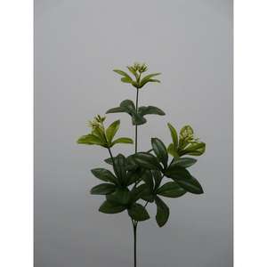 Foglia di Alloro X3 70CM GR - Product Image 1