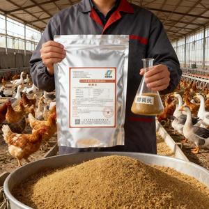 Umpan makanan ayam Premix meningkatkan kesehatan usus umpan senyawa unggas kualitas tinggi untuk meningkatkan tingkat telur bertelur - Product Image 2