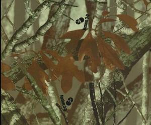 <strong>HYDROGRAPHIC</strong> FILM WATER TRANSFER HYDRODIPPING HYDRO <strong>DIP</strong> REAL TREE CAMO for Car - Product Image 5