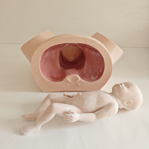 نموذج تدريب قِبالة متقدم نموذج تعليمي للولادة البشرية نموذج تفرير بشري - Product Image 2