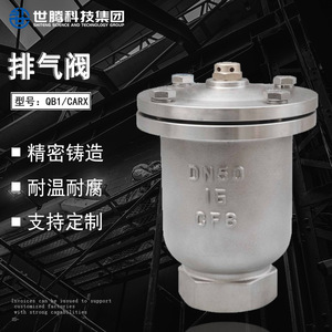 Válvula de Ventilación de Aire de Liberación Rápida Automática DN100 P11X, Brida Roscada de Acero al Carbono, Acero Inoxidable 304, Modelo P41X - Product Image 4