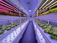 Ferme intelligente pour culture hydroponique système agricole vertical 40ft conteneur d'expédition serre agricole pour laitue