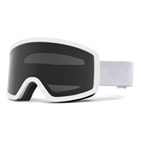 Vente en gros en usine Dilupu OEM lunettes de ski avec logo personnalisé vente en gros de lunettes de snowboard à lentille amovible anti-buée lunettes de sport pour hommes