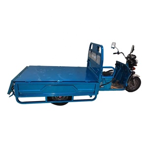 Factory Wholesale 40-50Km/H <strong>Myanmar</strong> <strong>Tricycle</strong> Electric for Elderly Use - Product Image 3