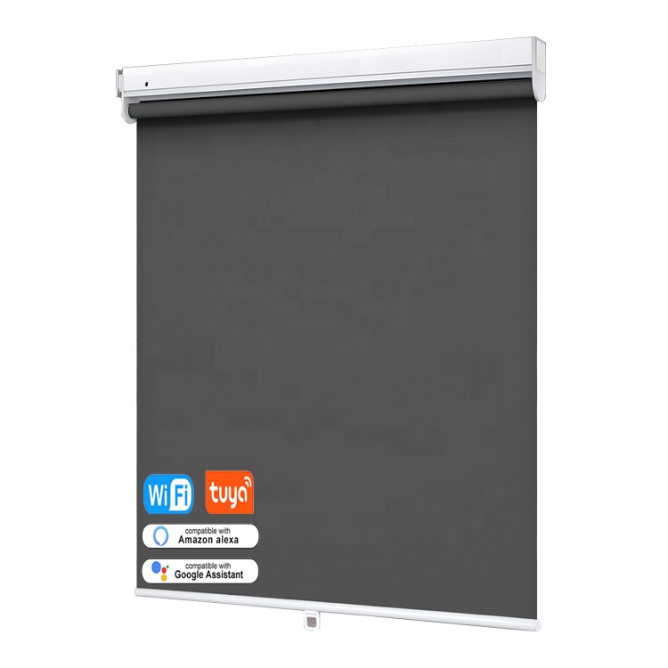 Умный дом украшение пульт дистанционного управления электрический моторизованный тент автоматический Зебра Рольставни