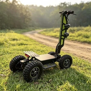 Scooter de 13 Pulgadas y 4 Ruedas, Vehículo Todoterreno de Alta Velocidad 4x4, Scooter Plegable para Patrullaje al Aire Libre, Alto Rendimiento - Product Image 2