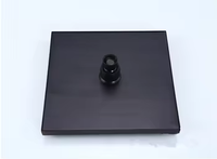 Douche de plafond carrée contemporaine noire en acier inoxydable 8'' avec fonction pluie et valve en laiton pour hôtel